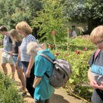 Besuch des Botanischen Gartens