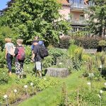 Besuch des Botanischen Gartens