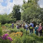 Besuch des Botanischen Gartens