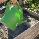 Giesskanne mit Wasserstrahlen